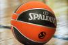 mini: PIŁKA DO KOSZYKÓWKI EUROLEAGUE TF 500 SPALDING (4)